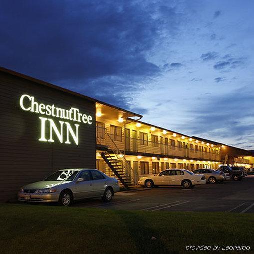 Chestnut Tree Inn Portland Mall 205 Экстерьер фото
